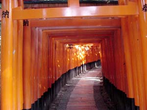 fushimi_inari.JPG